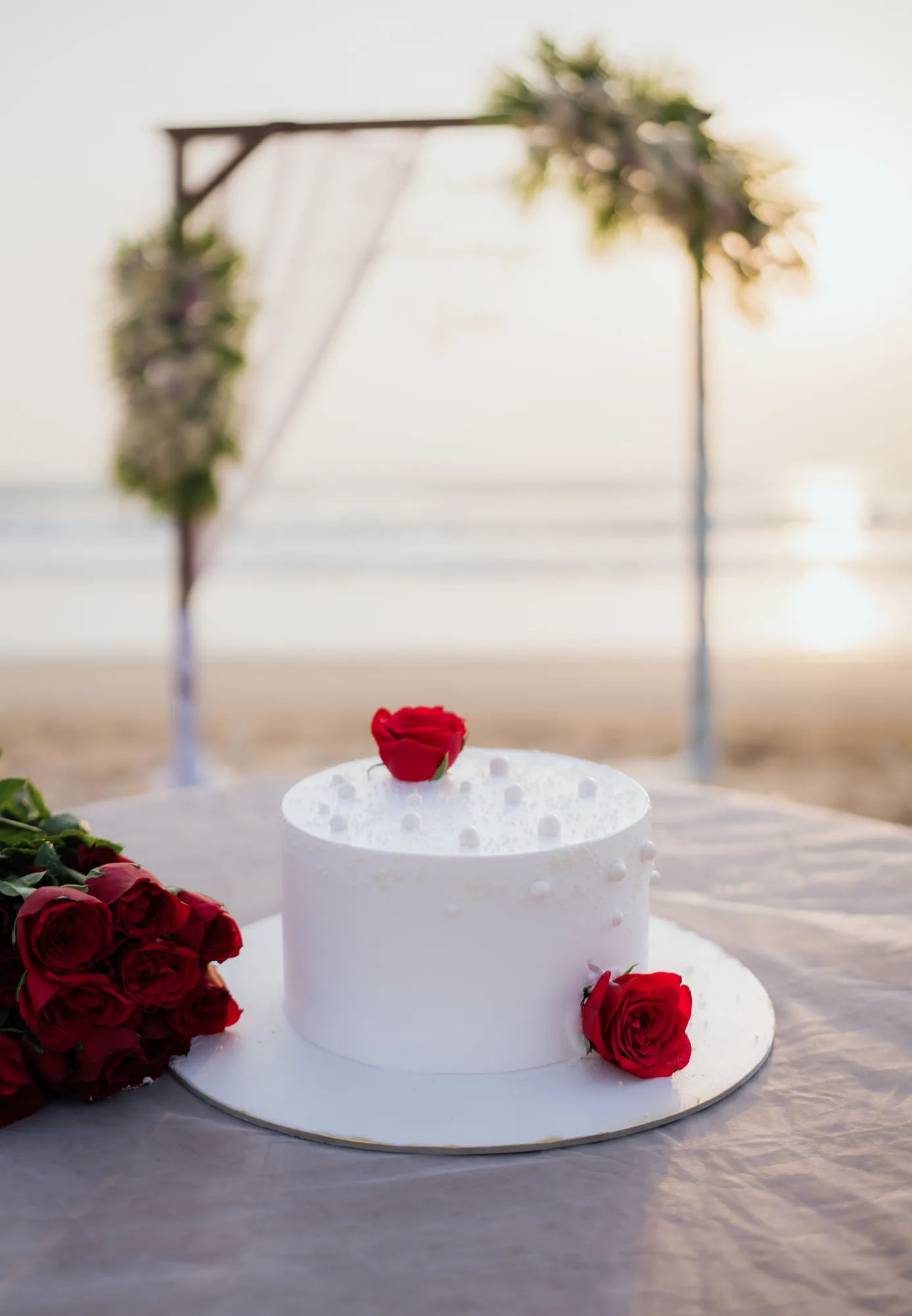 Amala & Darshan — photographed by Darshan Ravi Photography